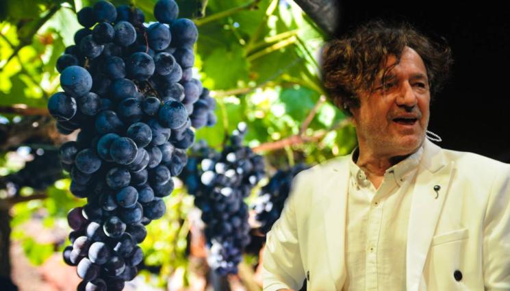 Горан Брегович лозе - ТЕГНЕ ПРОКЛЯТИЕ: Лозето на Горан Брегович затри двама души