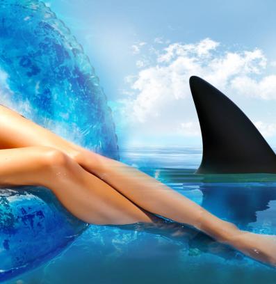 акула крака