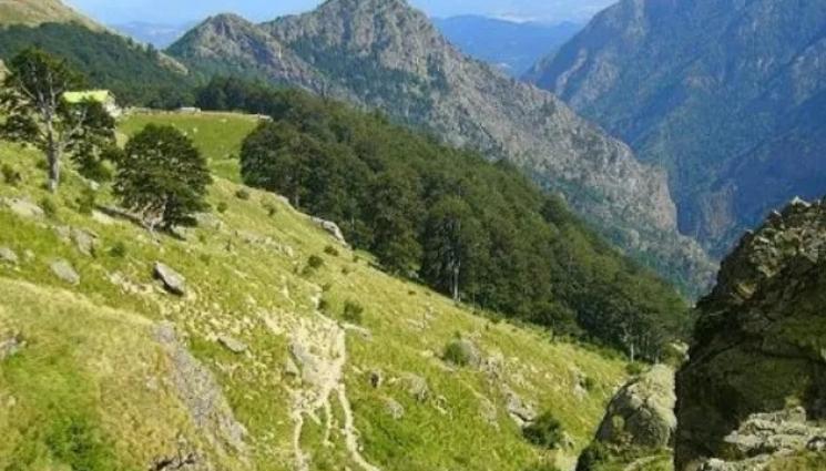 гора - ПОД ДЪРВО И КАМЪК: Търсят жена изчезнала в Еленския балкан