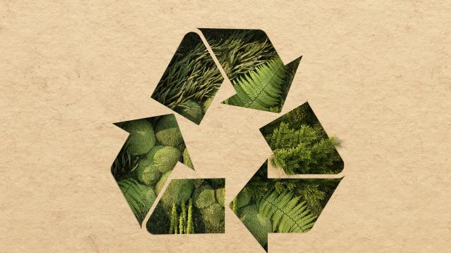 Изградиха иновативна рециклираща инсталация в София