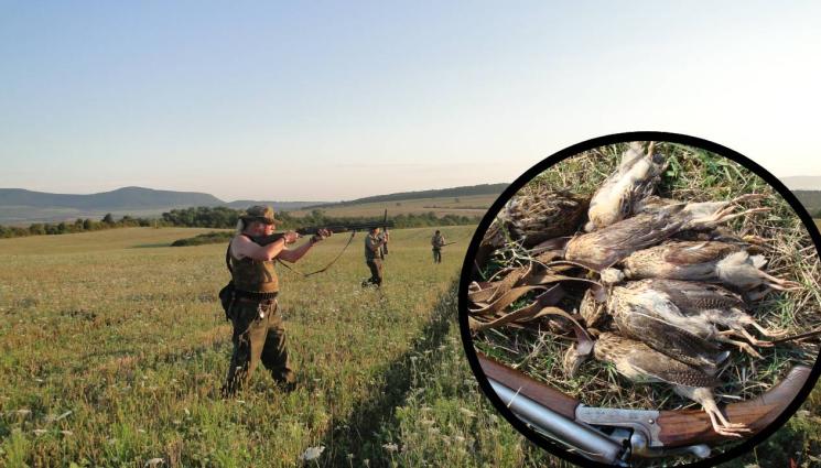 ф - ЛОВНИЯТ СЕЗОН ЗАПОЧВА: Стреляме по пъдпъдъци от 12 август