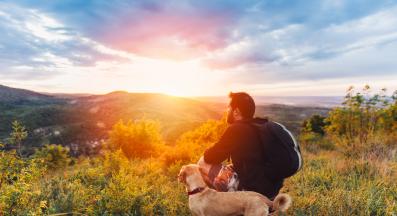 куче човек природа