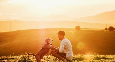 куче човек природа