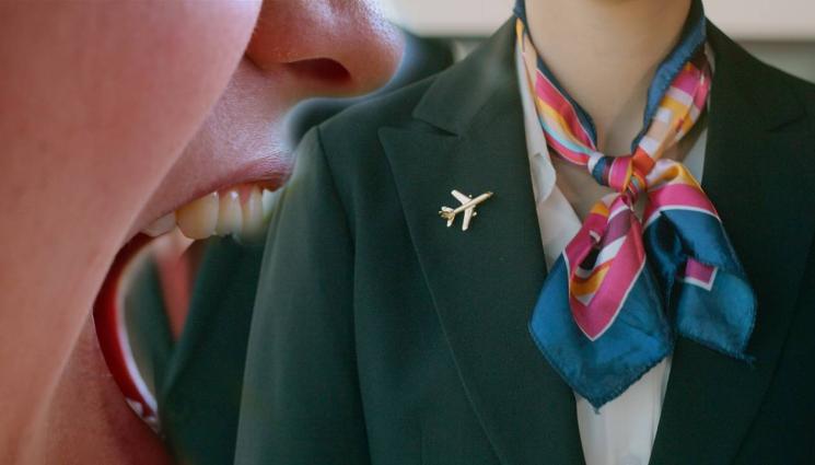 стюардеса - Я СЪМ МАЛА ПИТБУЛ-ТЕРИЕР: Жена заръфа стюардеса и спря самолет!