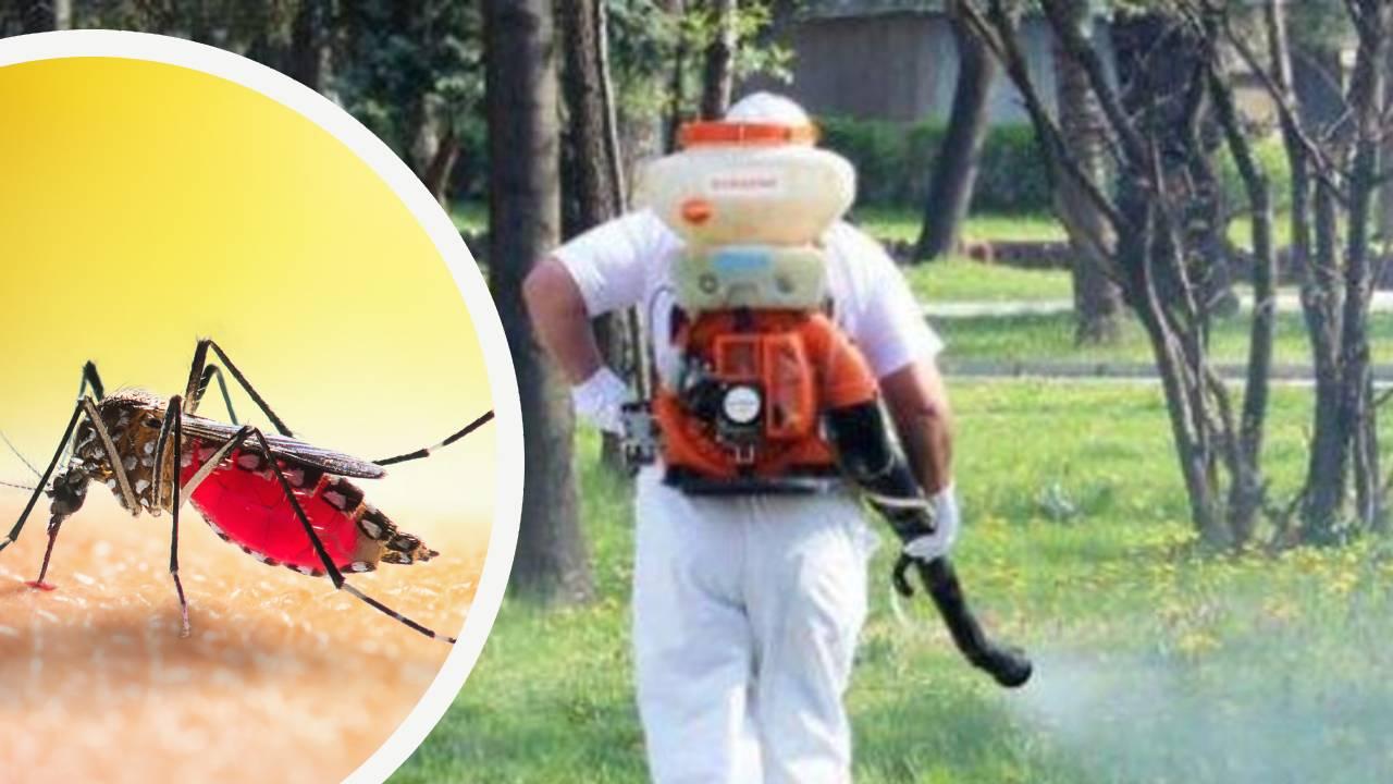 пръскане комари