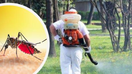 пръскане комари