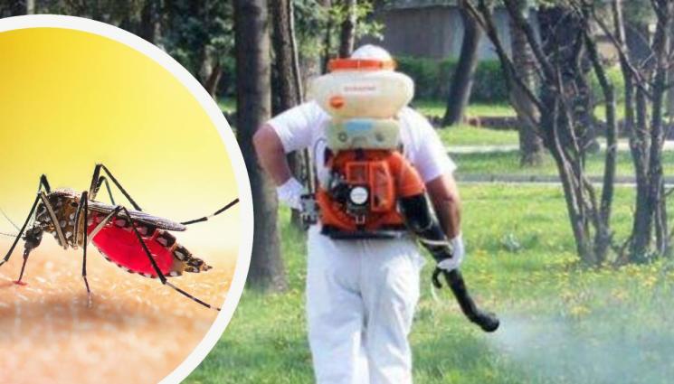 пръскане комари - След двата смъртни случая: РЗИ разпореди извънредно пръскане срещу комари в София!