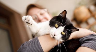 котка у дома