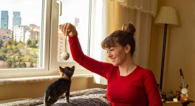 игра с котка