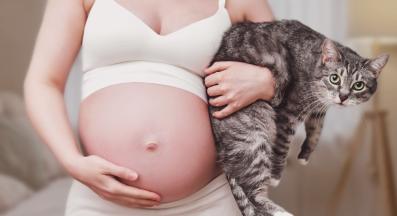 бременна собственичка и котка
