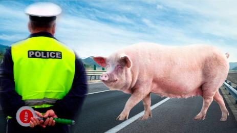 прасе полиция магистрала