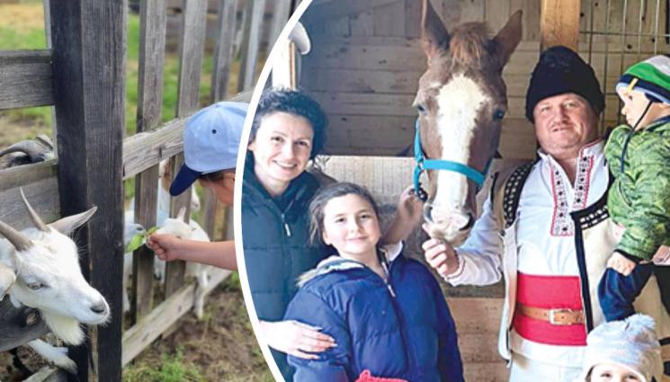 ферма Дивотино - Агро Телеграф: Доза щастие във ферма за конна езда