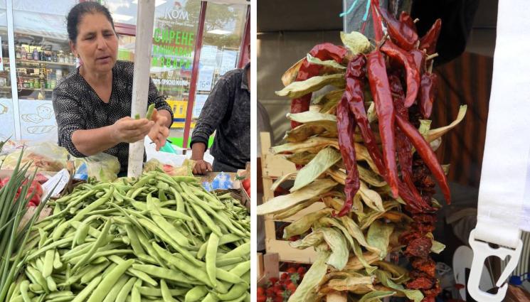 зелен фасул - Агро Телеграф: Удари часът на зеления фасул