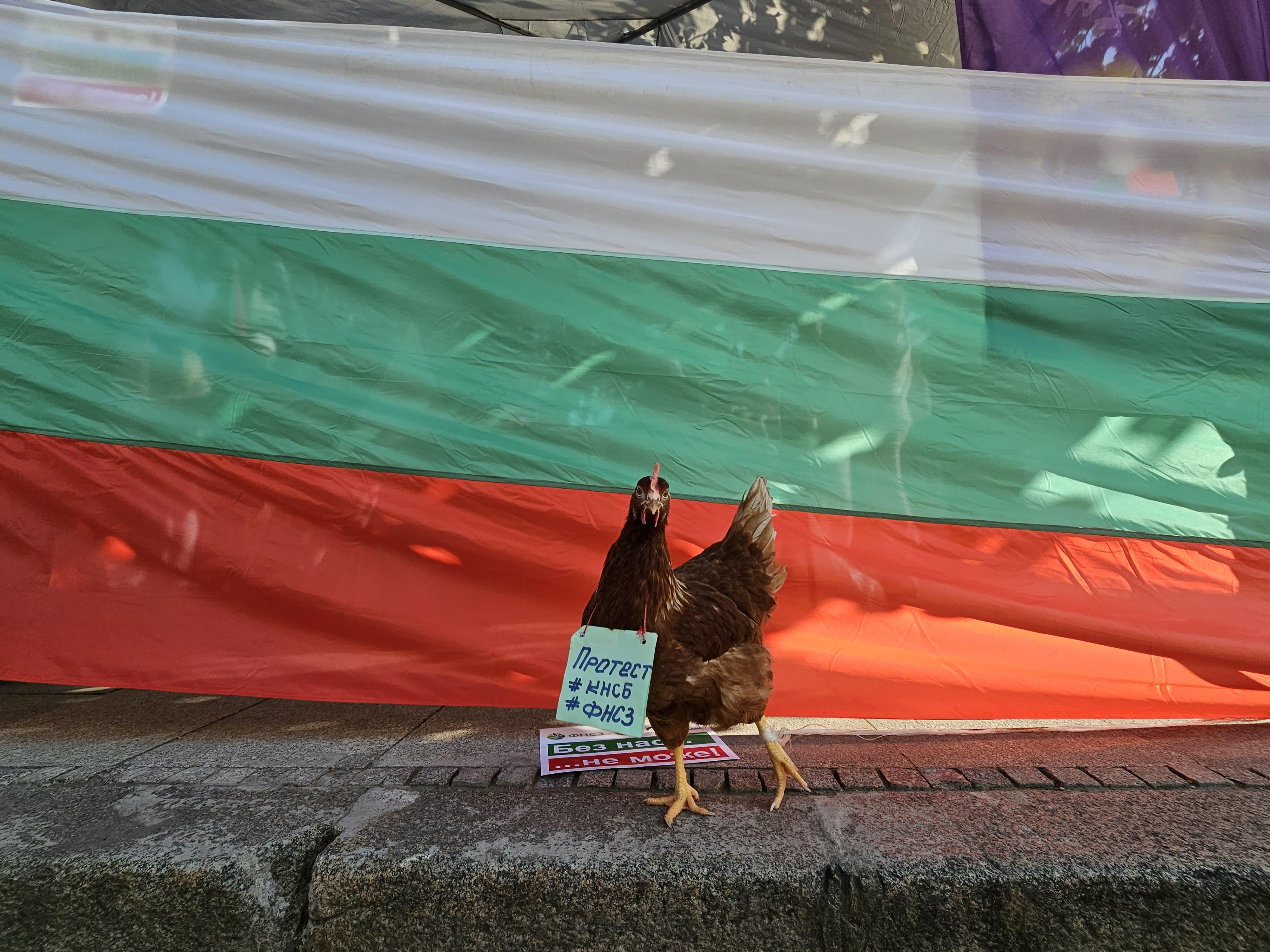 протест КНСБ