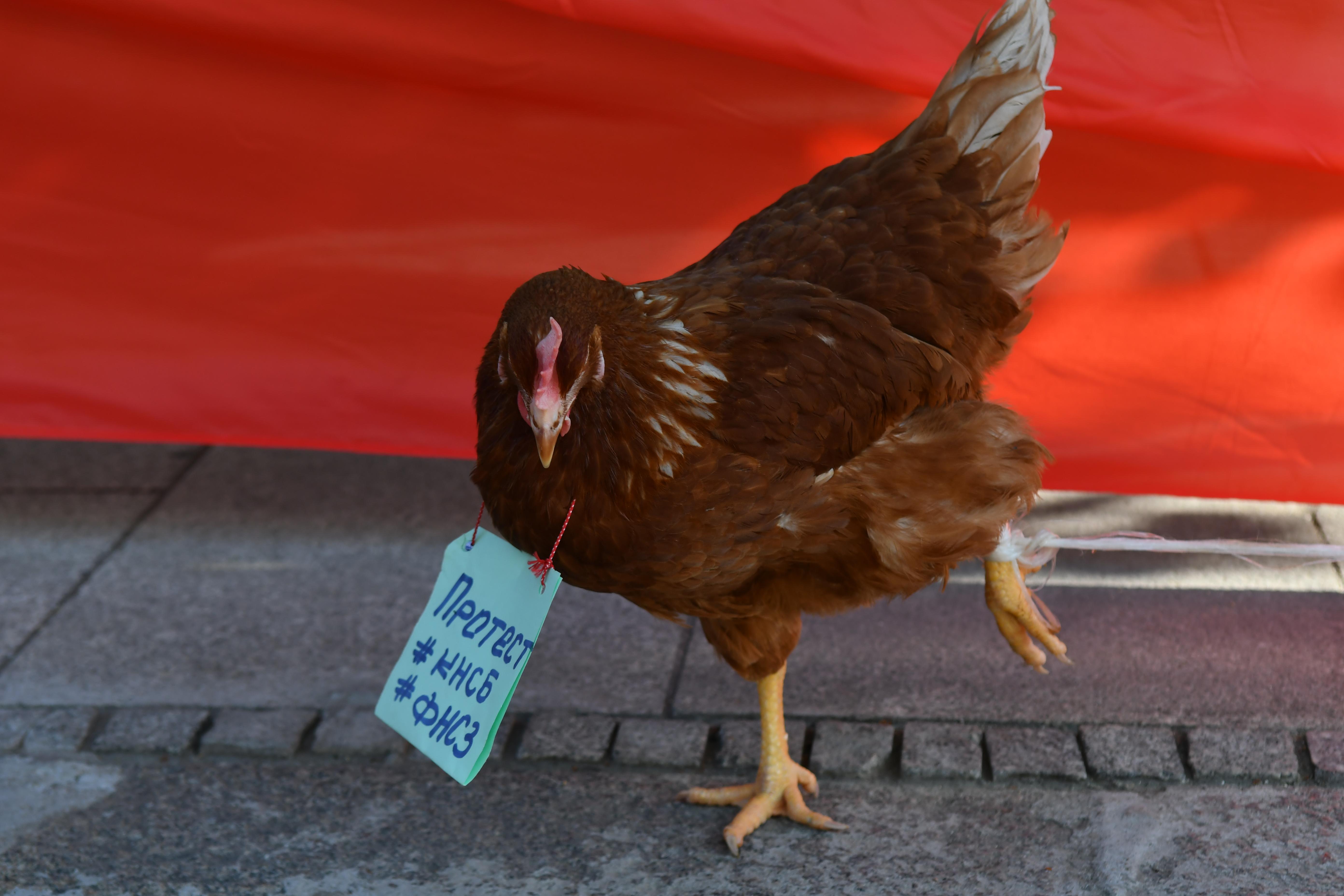 протест КНСБ