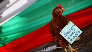 Депутати от парламентарните групи на Възраждане и БСП за България излязоха