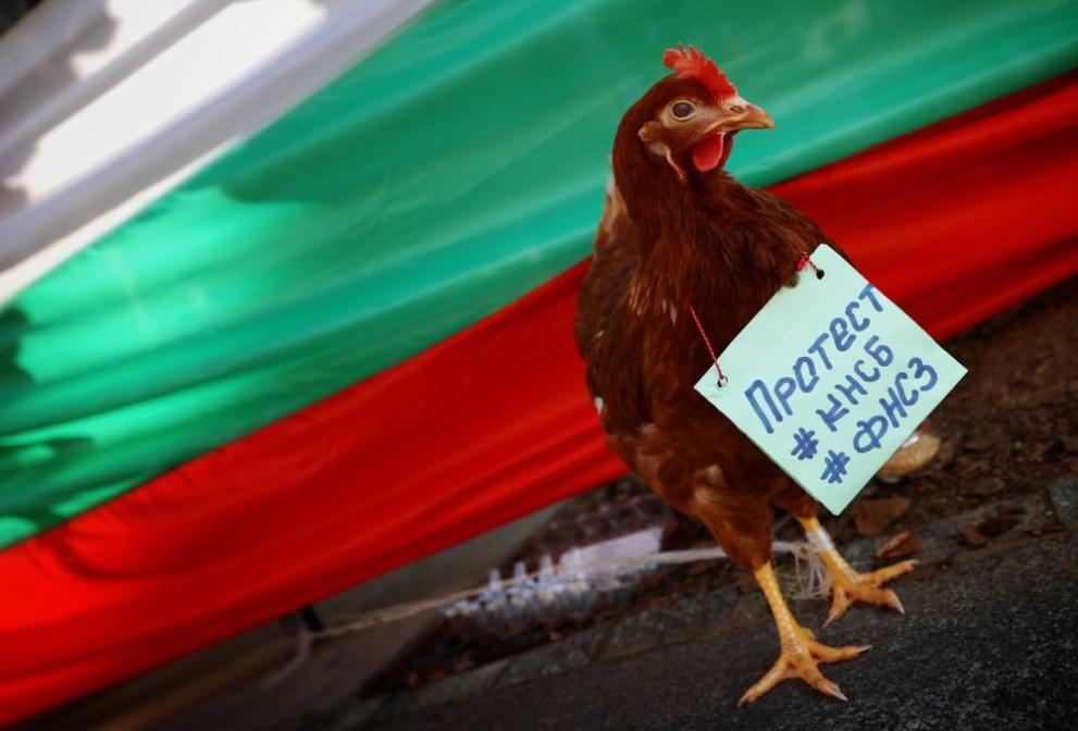 Депутати от парламентарните групи на Възраждане и БСП за Българияизлязоха