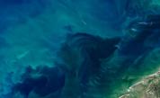 Наркотайните на океана: Вижте самолета с дрога на Пабло Ескобар (СНИМКИ/ВИДЕО)