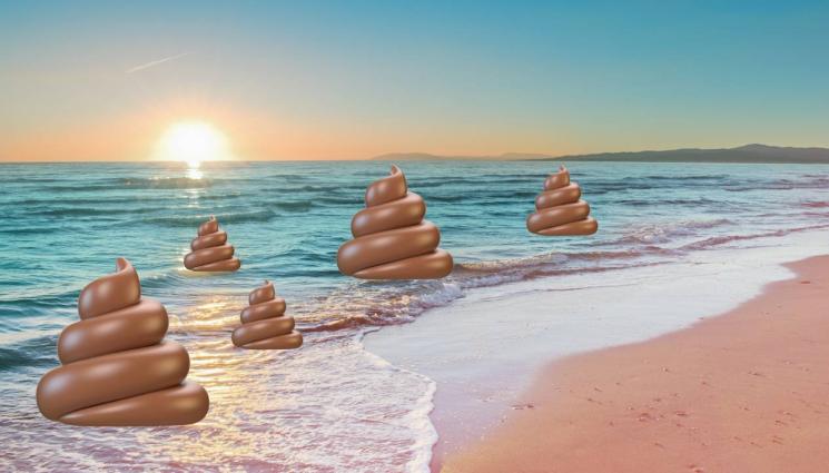 изпражнения - КАТО У НАС: Американските плажове бликат с изпражнения