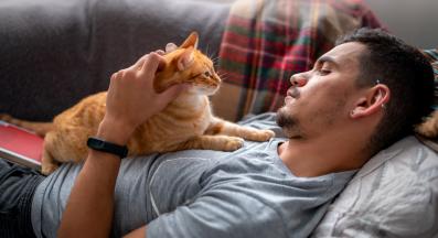 котка и стопанин