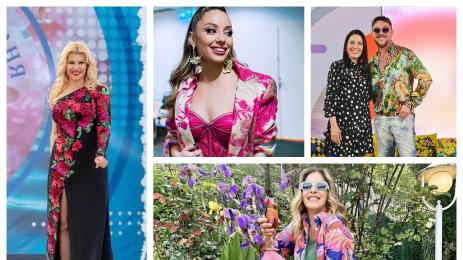 Катето Евро Миро Нелина