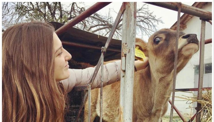 лекари - Ветеринарните лекари вимат милиони