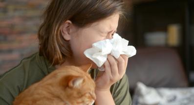 котка у дома