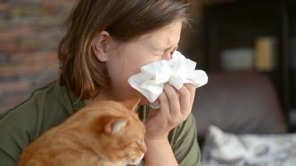 котка у дома