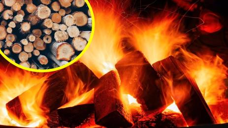 дърва огрев