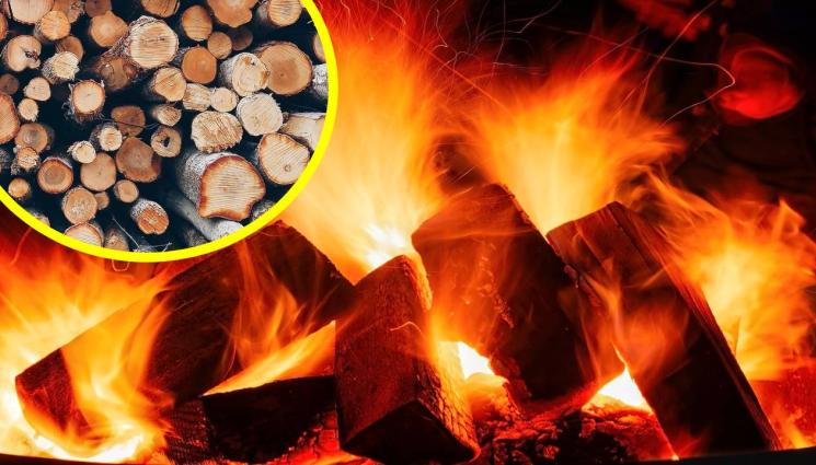 дърва огрев - РАНО ПИЛЕ, РАНО ПЕЕ: Дървата за огрев са по-евтини през лятото