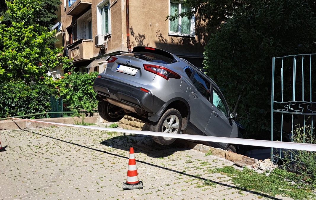 кола лозенец