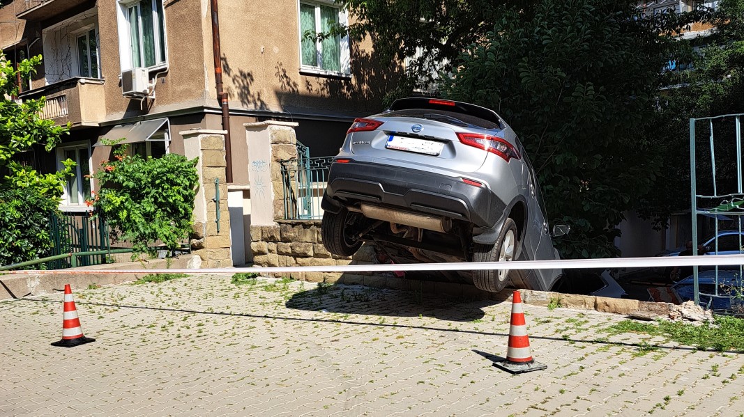 кола лозенец