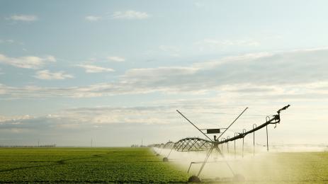 поливане ниви