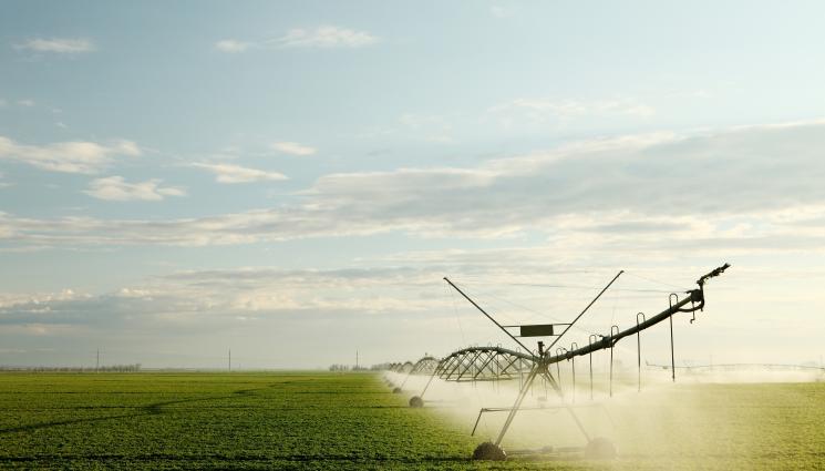 поливане ниви - Агро Телеграф: Влагата се изчерпва, трябва поливане