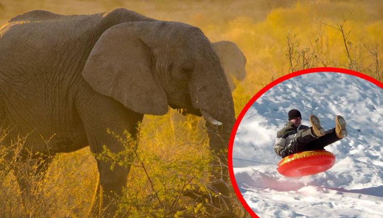 Африка - КАКВО СТАВА?! Европа се пържи от жега, в Африка тракат зъби от студ (СНИМКИ+ВИДЕО)