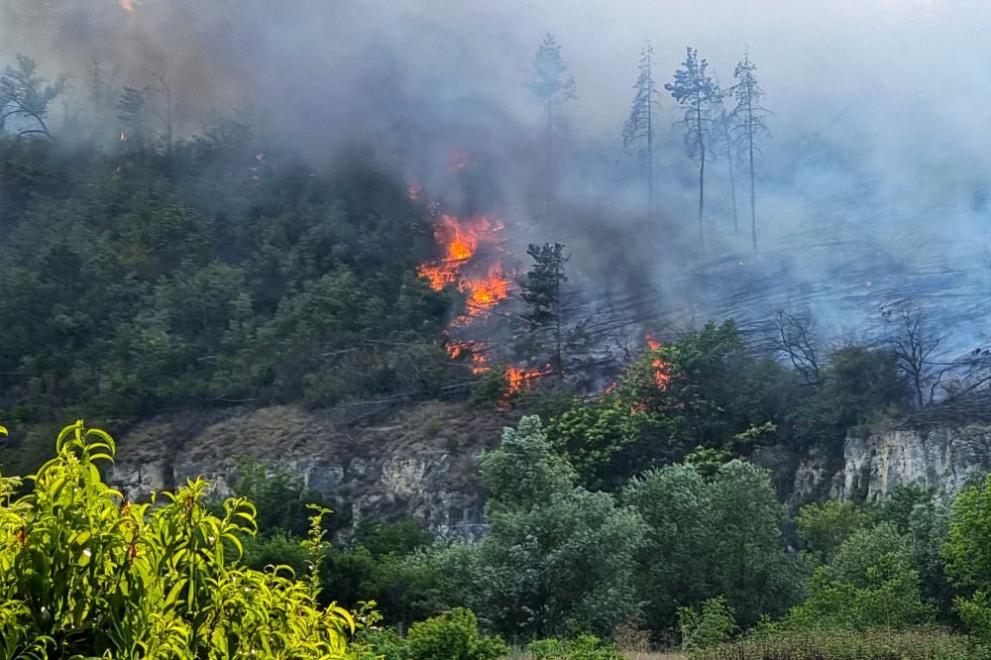 Пожарът, който избухна този следобед в района на Русе, е