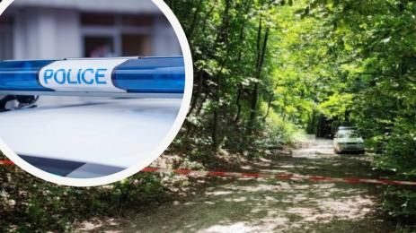 бонсови поляни