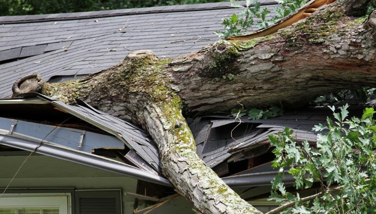 бури - АПОКАЛИПСИС: Лятна буря рани 110 души