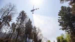 Пилот на хеликоптер загина при катастрофа в Западна Канада борейки