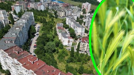 зелени площи