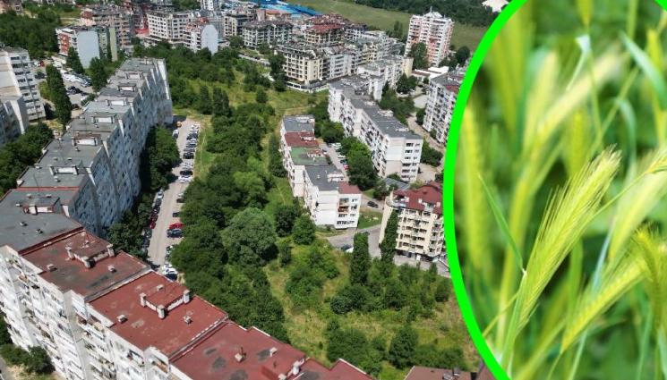 зелени площи - В столичния квартал „Овча купел“: Спасяват 60 дка зелени площи между блоковете