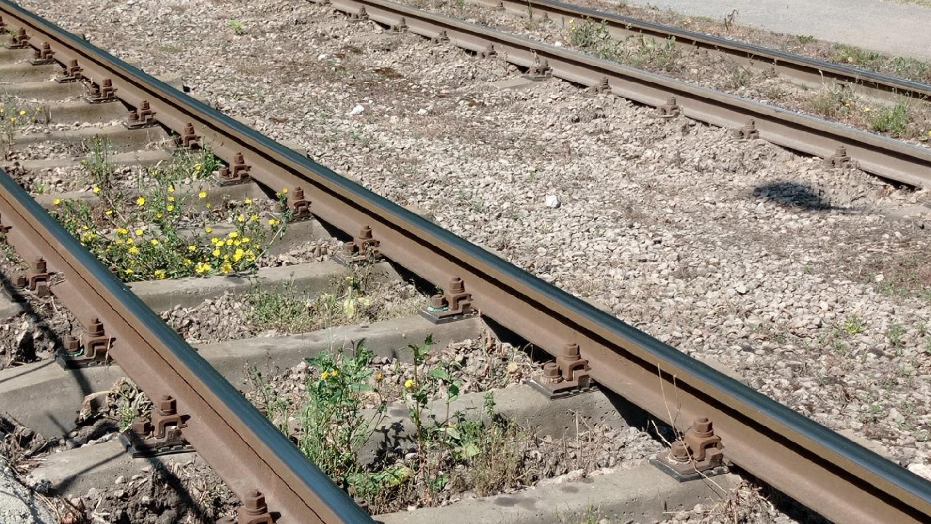 Бързият влак от Пловдив за София спря насред полето малко