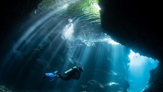 Французин счупи собствения си световния рекорд по гмуркане (ВИДЕО) 