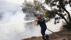 Модулът за гасене на горски пожари замина за Гърция Българските