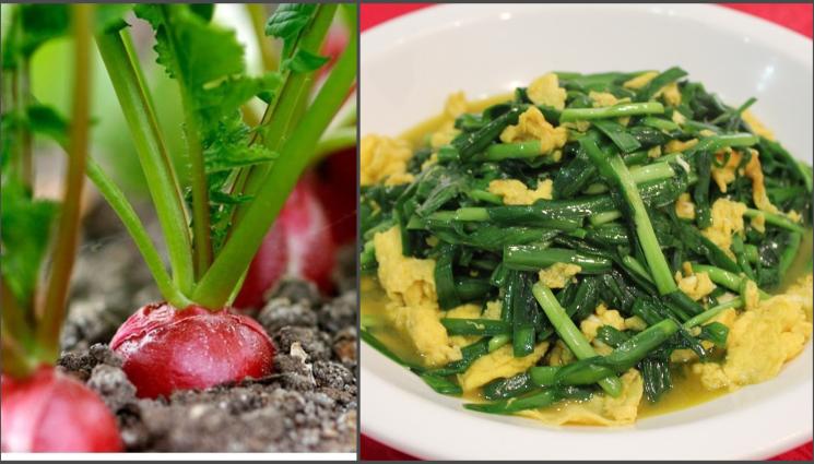 репички - Агро Телеграф: Листата на репичките стават за салата и бъркани яйца