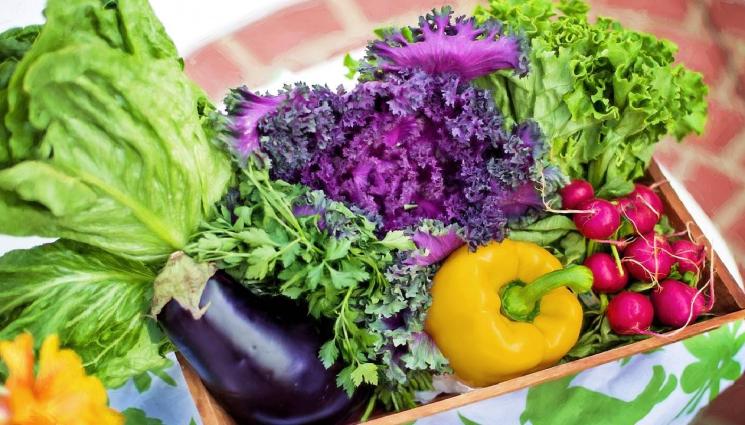 Зеленчуци - АГРО 