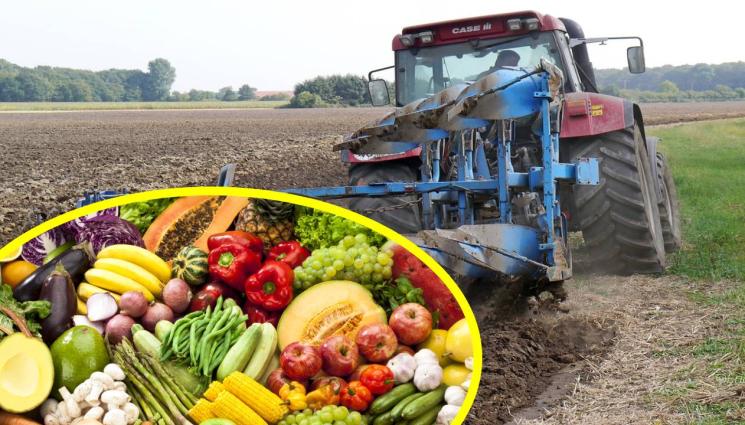 зеленчуци - АГРО