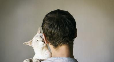 котка и стопанка