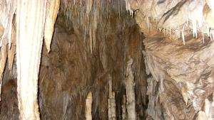 През горещите юлски дни туристи търсят прохлада в Ягодинската пещера