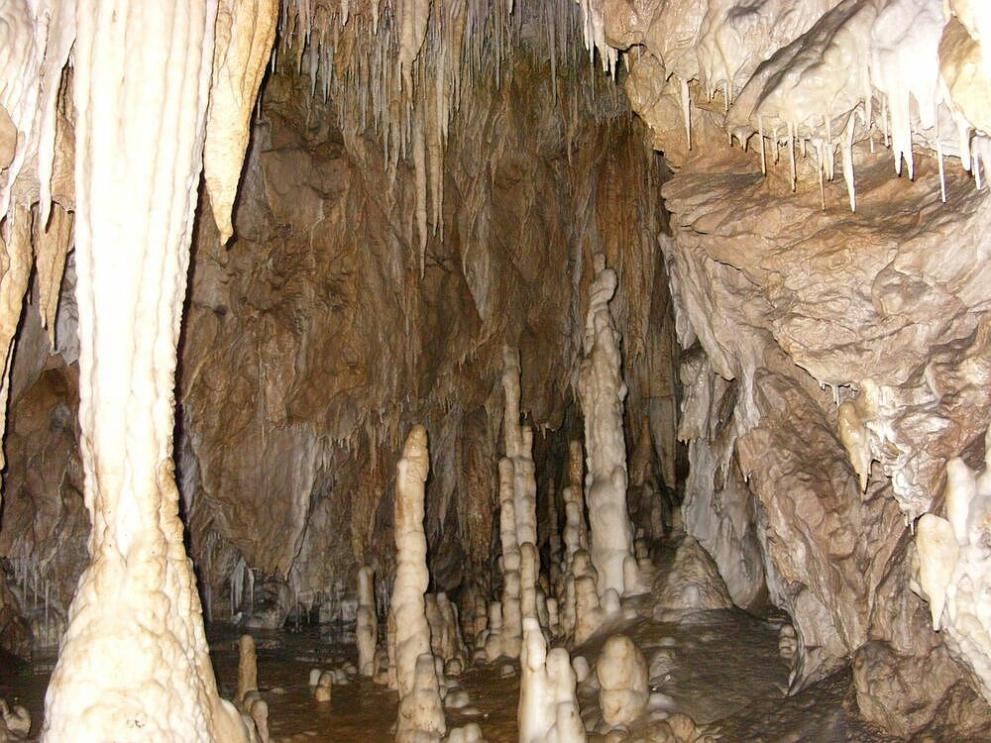 Ягодинската пещера